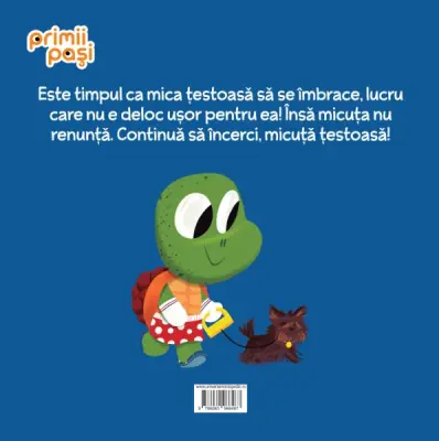 Invat sa incerc mereu