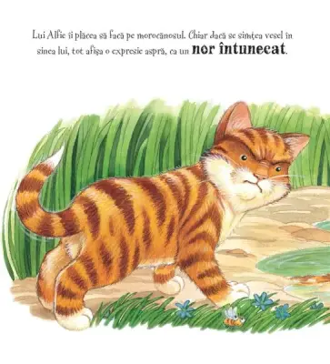 Invata sa zambesti (Quarto) — Steve Smallman