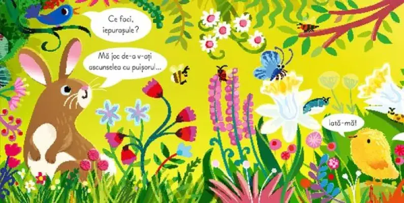 Joaca-te de-a v-ati ascunselea cu iepurasul (Usborne) — Usborne Books
