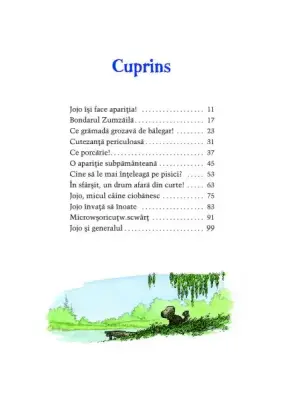 Jojo. Marile aventuri ale unui catel mic — Birck&birck