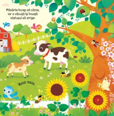 La ferma. Carte muzicala (Usborne) — Usborne Books