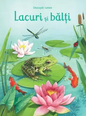 Lacuri si balti (Usborne) – Carte pentru copii
