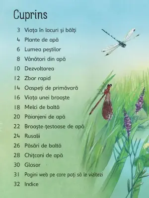 Lacuri si balti (Usborne)