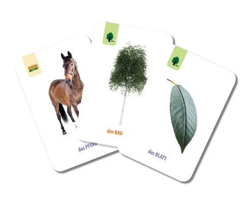 Limba germana. Carti de joc educative — ***