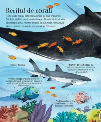 Marea carte a animalelor din mari si oceane (Usborne) — Usborne Books