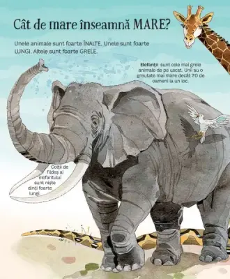 Marea carte a animalelor (Usborne) — Usborne Books