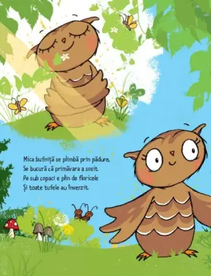 Mica bufnita si prietenii ei — Susanne Weber, Tanja Jacobs