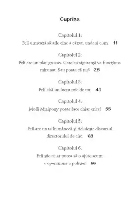 Molli Minipony. Un ponei zburator