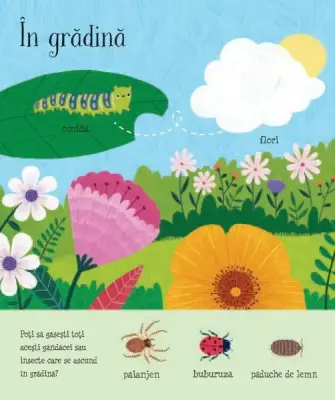 Natura (Usborne) — Usborne Books