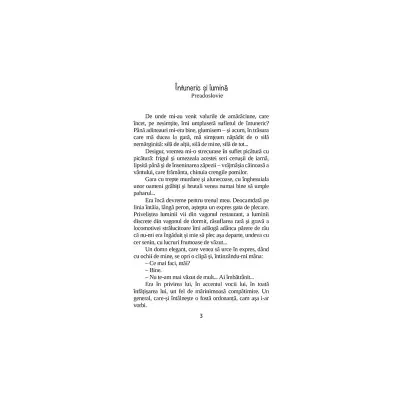 Niculăiță Minciună - Ioan Alexandru Brătescu-Vionești