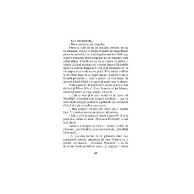 Niculăiță Minciună - Ioan Alexandru Brătescu-Vionești