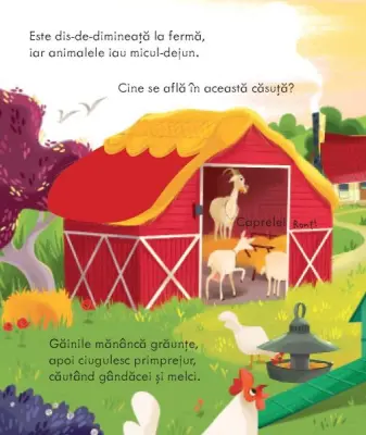 O ferma (Usborne) — Usborne Books