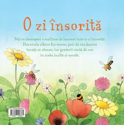 O zi insorita (Usborne) — Usborne Books