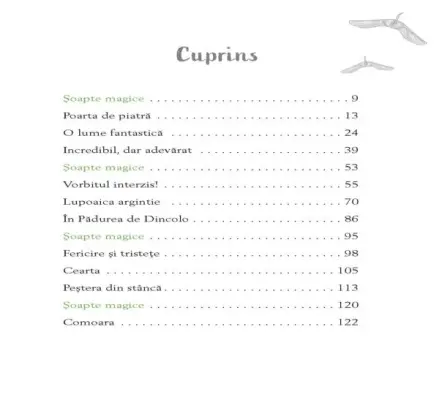 Padurea de dincolo. Secretul lupoaicei argintii — Julie Leuze, Stephanie Klasen