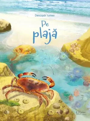 Pe plaja (Usborne) – Carte pentru copii