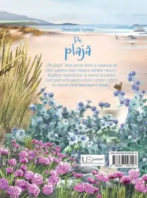 Pe plaja (Usborne) – Carte pentru copii