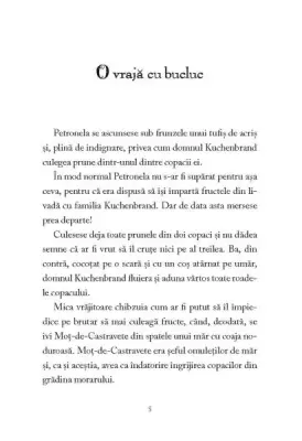 Petronela Piure-de-Mere. Palarie magica si prajituri cu albine