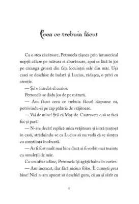 Petronela Piure-de-Mere. Zbor de gaste si casa de vrajitoare — Sabine Städing