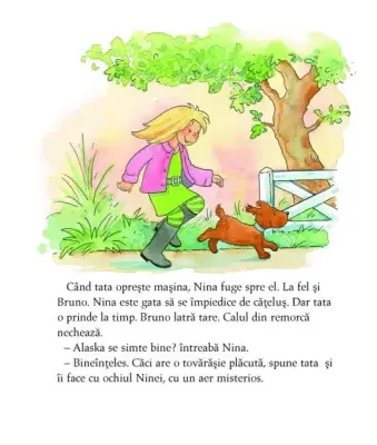 Poneiul magic. Nina are un secret. — Sabine Streufert