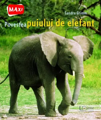 Povestea puiului de elefant – Carte pentru copii