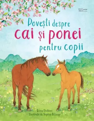 Povesti despre cai si ponei pentru copii (Usborne)