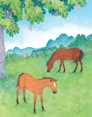 Povesti despre cai si ponei pentru copii (Usborne)