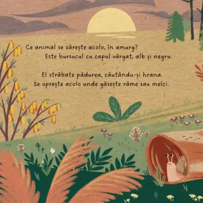 Prietenii mei din padure. Micul bursuc — Sandy Lohb, Carla Hafner