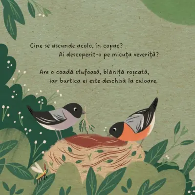 Prietenii mei din padure. Micuta veverita — Sandy Lohb, Carla Hafner