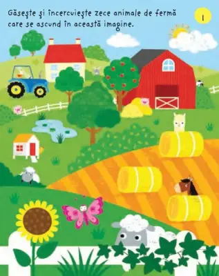 Prima mea carte de activitati la ferma (Usborne) — Usborne Books