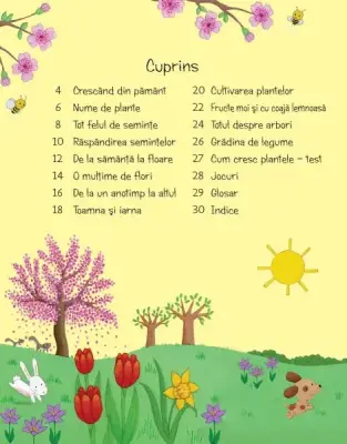 Prima mea carte despre cum cresc plantele (Usborne) — Usborne Books
