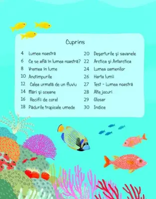 Prima mea carte despre lume (Usborne) — Usborne Books
