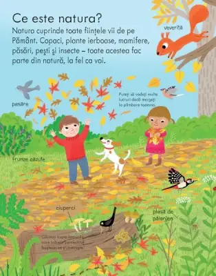 Prima mea carte despre natura (Usborne) — Usborne Books