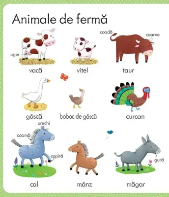 Primele mele cuvinte despre ferma (Usborne) — Usborne Books