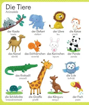 Primul meu dictionar german-roman (Usborne) — Usborne Books