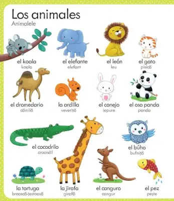 Primul meu dictionar spaniol-roman (Usborne) — Usborne Books