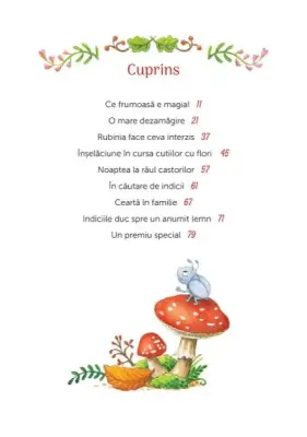 Rubinia Inima-minunata. Piatra magica stralucitoare — Karen Christine Angermayer