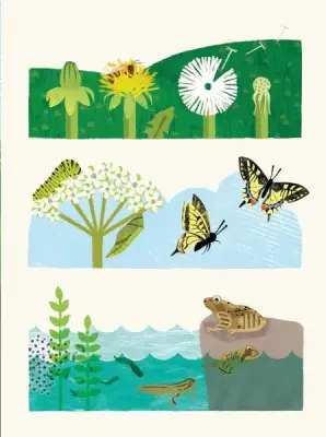 Sa-ti povestesc despre lume... — Kate McLelland