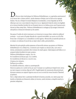 Spiritul din inima padurii — Kai Lüftner, Emilia Dziubak