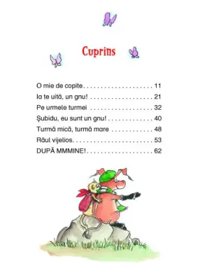 Tafiti si antilopele gnu — Julia Boehme, Julia Ginsbach