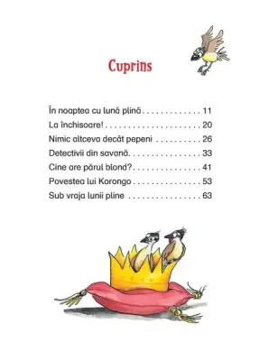 Tafiti si detectivii din savana — Julia Boehme, Julia Ginsbach