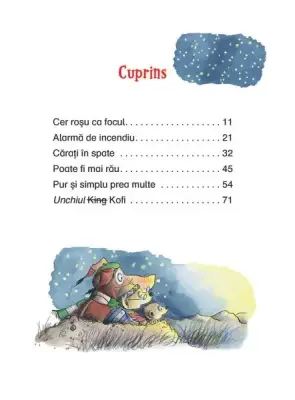 Tafiti si focul din savana — Julia Boehme, Julia Ginsbach