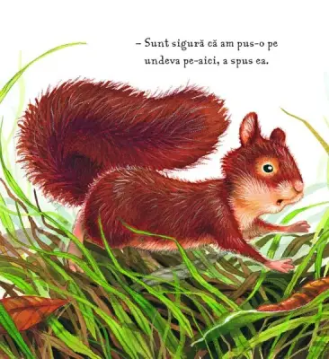 Toamna. Cautarile Veveritei (Quarto) — Daniel Howarth, Anita Loughrey