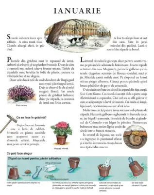 Un an in gradina mea — Susanne Riha
