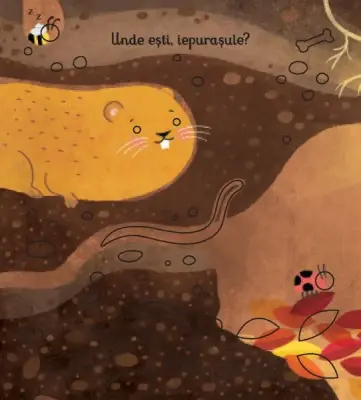 Unde esti, iepurasule? (Usborne) — Usborne Books