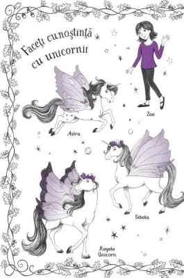 Unicornii magici. Padurea fermecata (Usborne) — Usborne Books