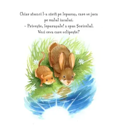 Vara. Comoara Soricelului (Quarto) — Daniel Howarth, Anita Loughrey