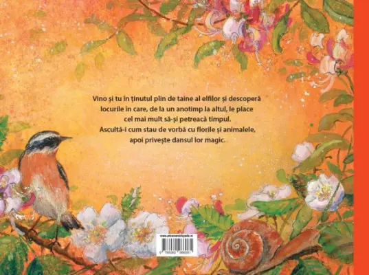 Vino cu mine in Tinutul Elfilor – Carte pentru copii