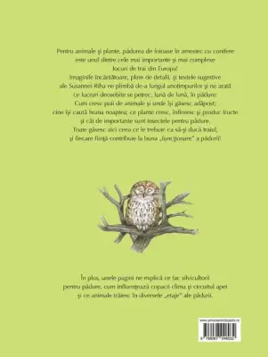 Vino cu noi prin padure! Animalele si plantele de-a lungul anului