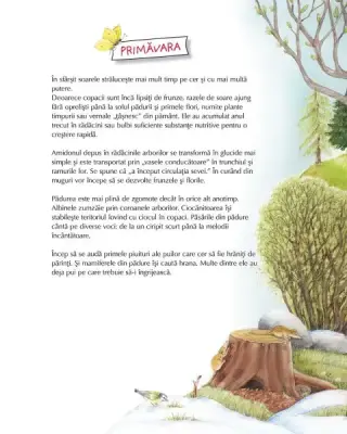 Vino cu noi prin padure! Animalele si plantele de-a lungul anului — Susanne Riha