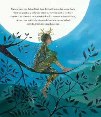 Visul unei nopti de vara (ilustrata) — Jane Ray